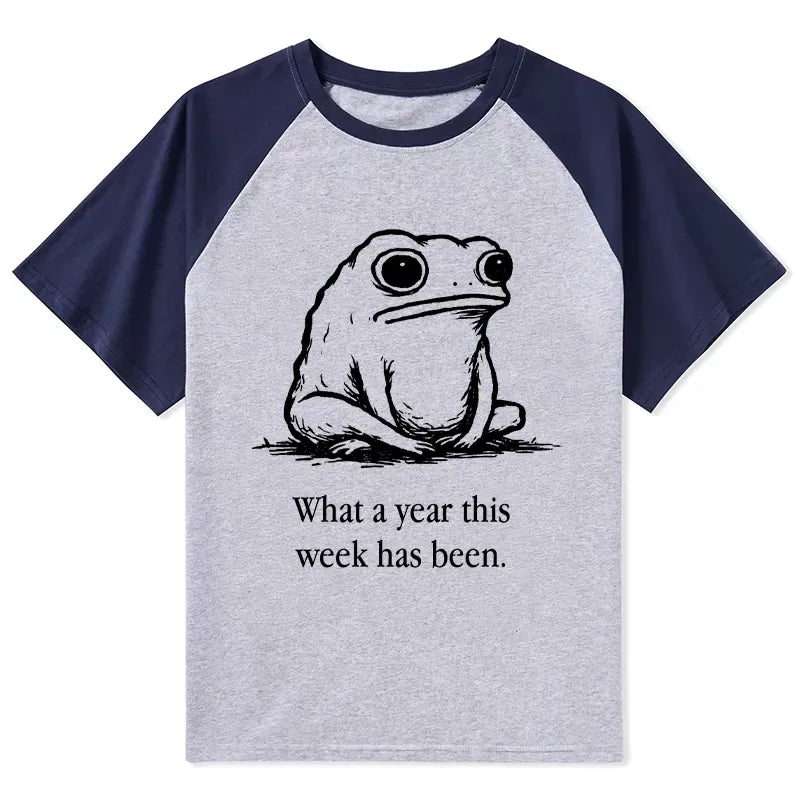Japanese Raglan T-shirt for Daily Wear