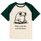 Japanese Raglan T-shirt for Daily Wear
