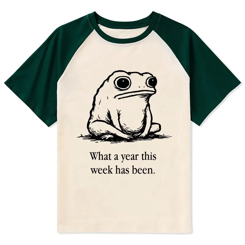 Japanese Raglan T-shirt for Daily Wear