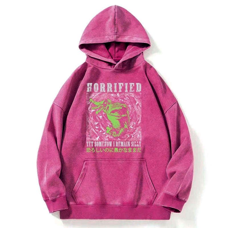 silly frog Japanese washed hoodie for streetwear
