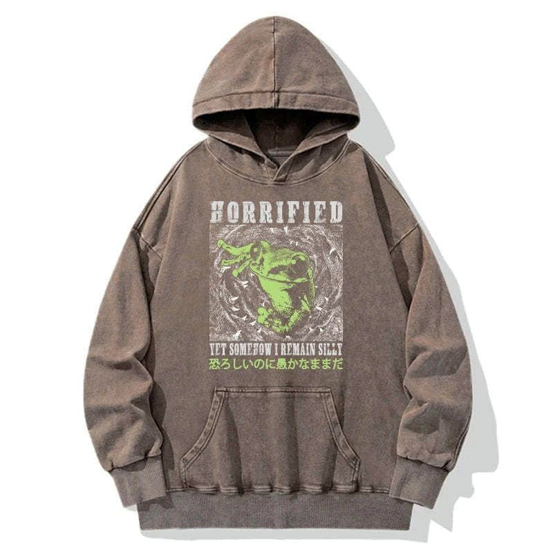 Kyoto-Lion Silly Frog Japanese Washed Hoodie