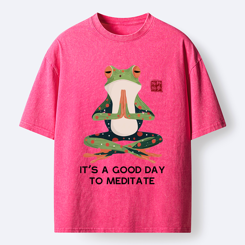 Kyoto-Lion Frog in Zen Washed T-Shirt