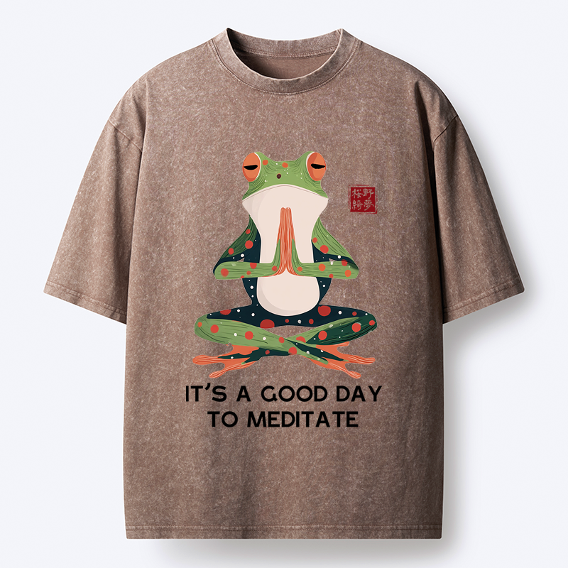 Trendy Kyoto-Lion Frog Washed Tee for Streetwear