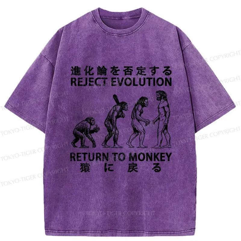 Japanese vintage t-shirt for daily wear