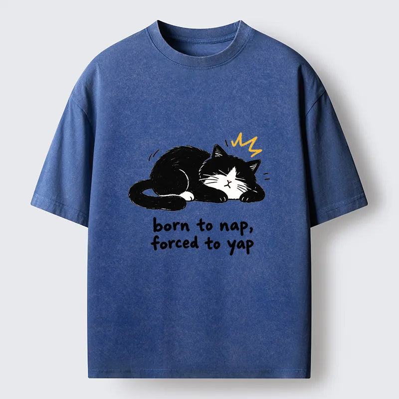 Kyoto-Lion Cute Lazy Cat Funny Meme Washed T-Shirt
