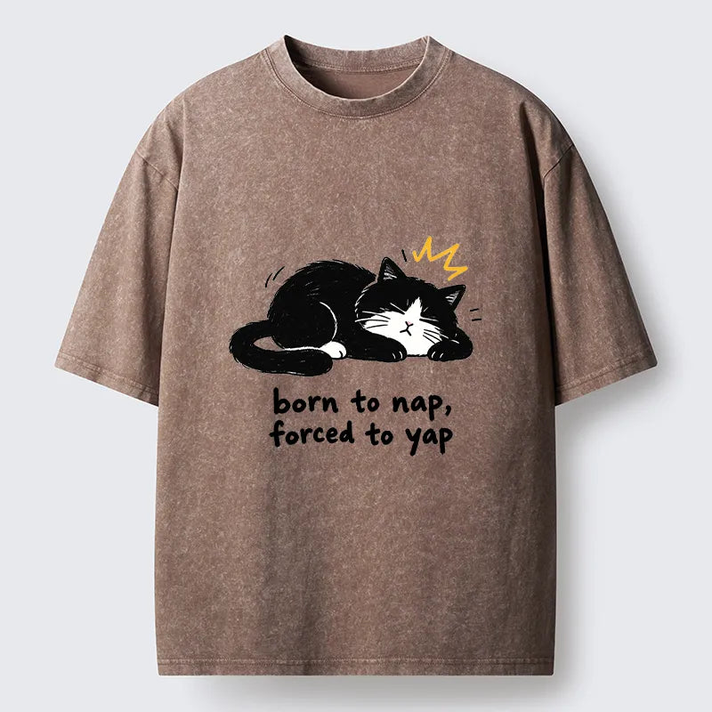 Kyoto-Lion Cute Lazy Cat Funny Meme Washed T-Shirt