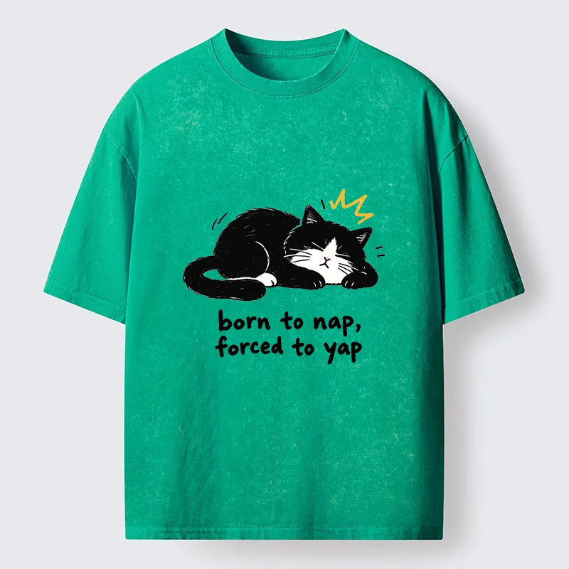Kyoto-Lion Cute Lazy Cat Funny Meme Washed T-Shirt
