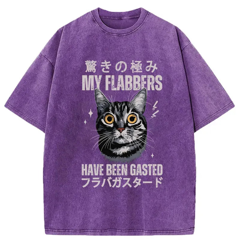 Kyoto-Lion My Flabbers Have Been Gasted Washed T-Shirt