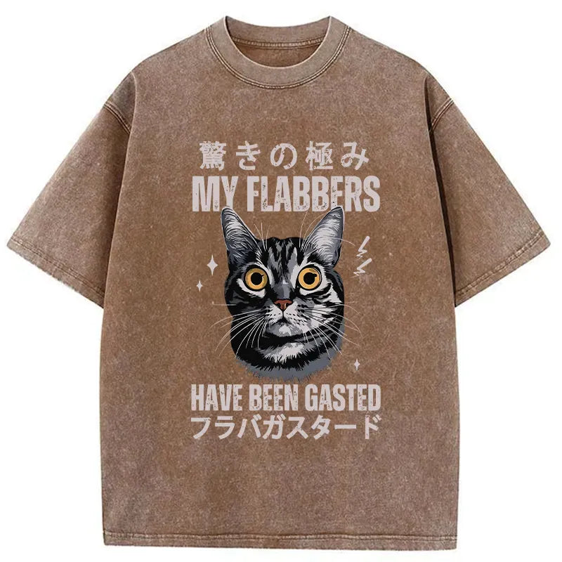 sarcastic my flabbers have been gasted shirt