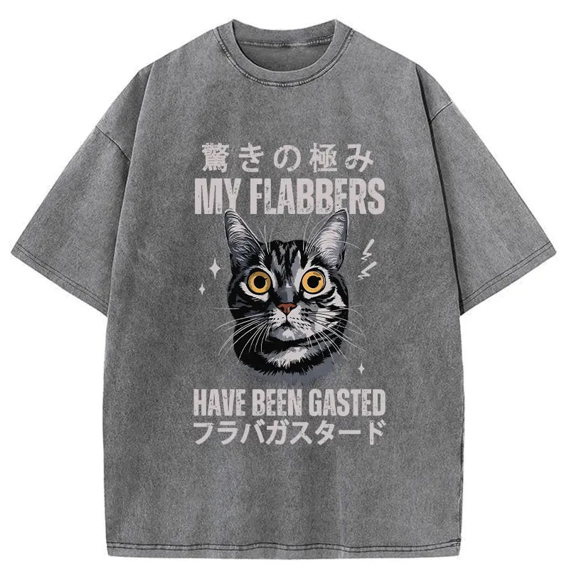 Kyoto-Lion My Flabbers Have Been Gasted Washed T-Shirt