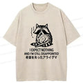 Japanese Vintage Raccoon T-Shirt