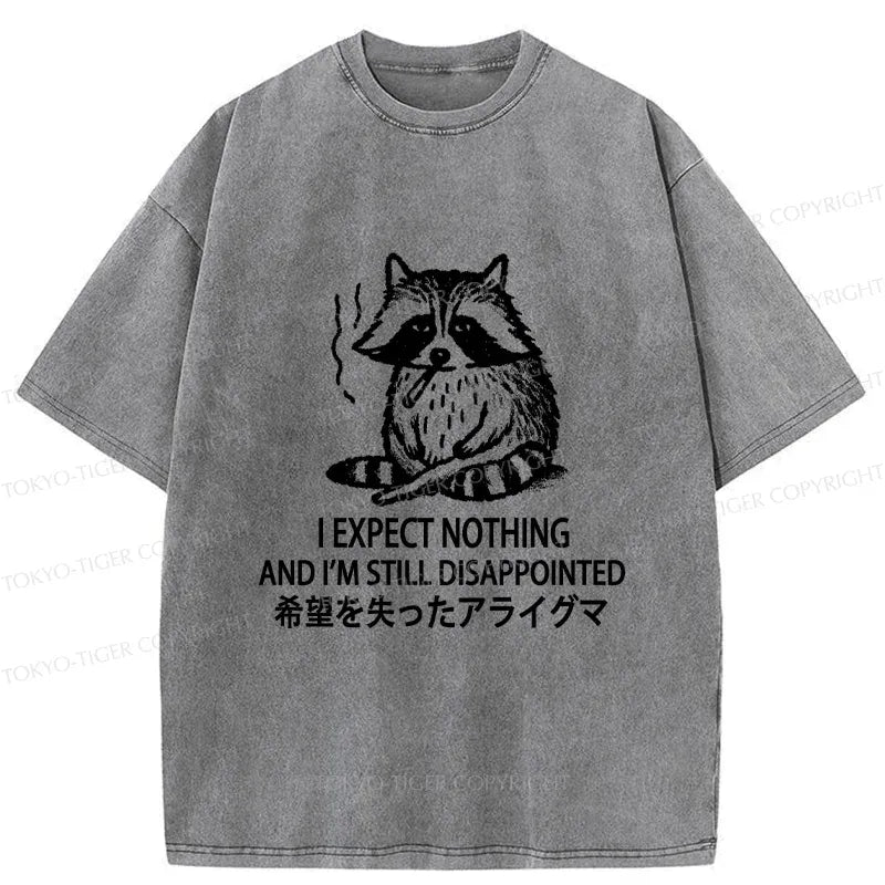Japanese Vintage Raccoon T-Shirt