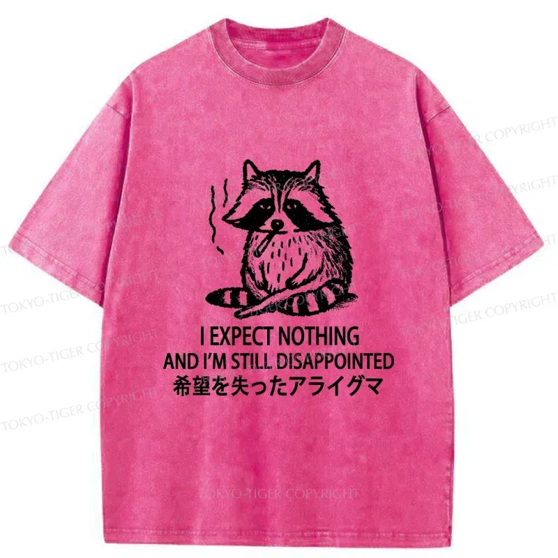 Japanese Vintage Raccoon T-Shirt