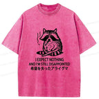 Japanese Vintage Raccoon T-Shirt