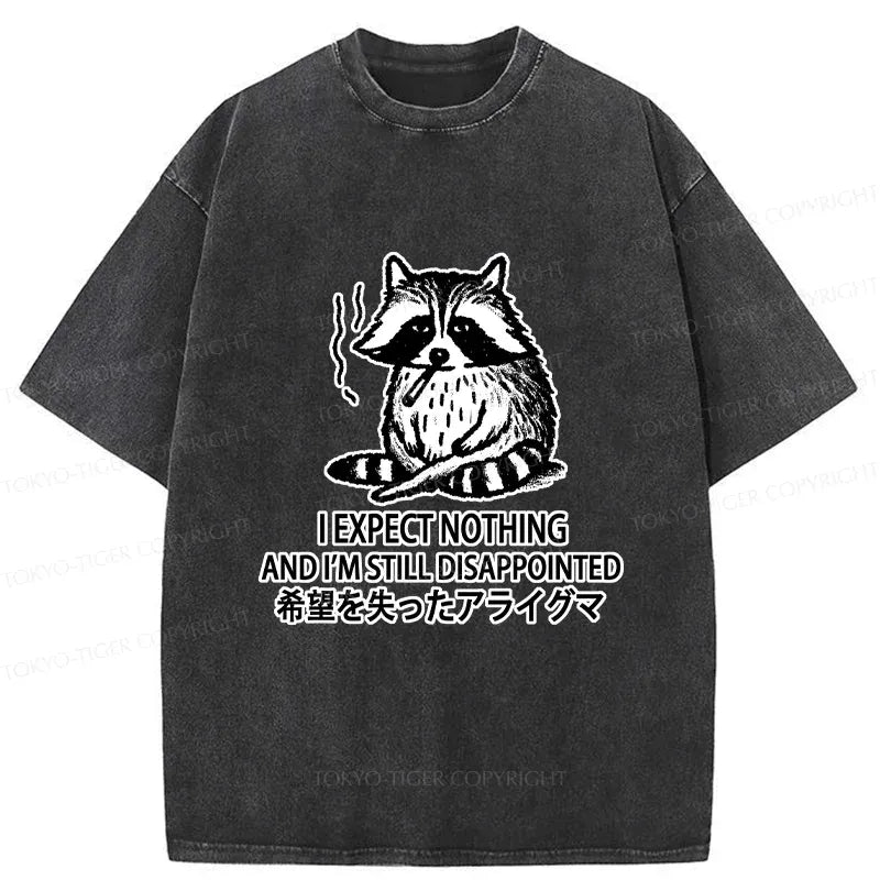 Japanese Vintage Raccoon T-Shirt