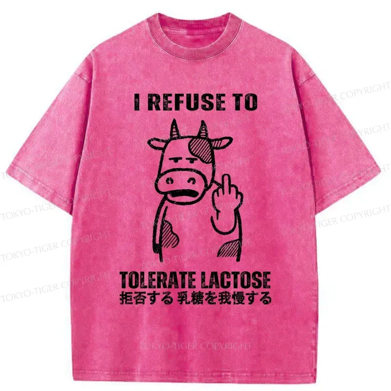 Kyoto Lion washed t-shirt for daily wear