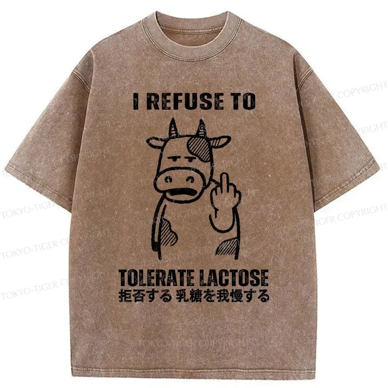 Kyoto Lion washed t-shirt for daily wear