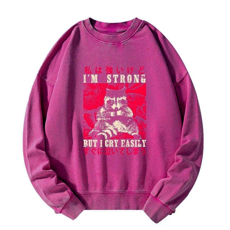 Japanese washed sweatshirt for men