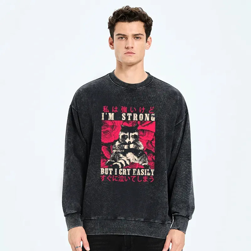 Japanese washed sweatshirt for men