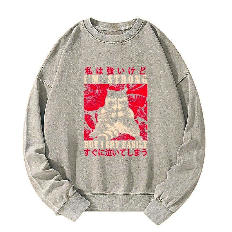 Japanese washed sweatshirt for men