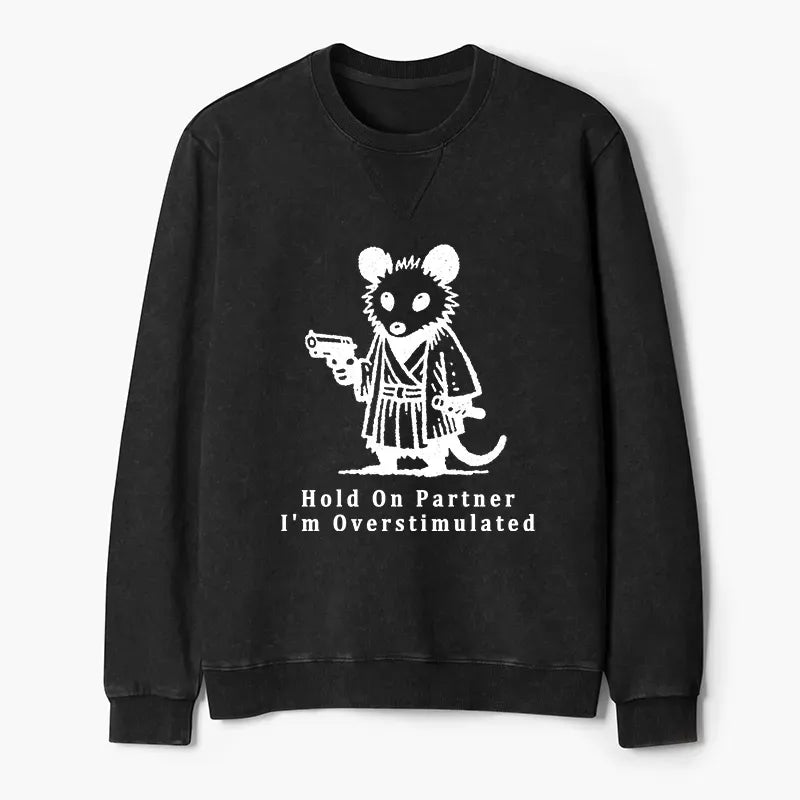Soft Cotton Sweatshirt for Spring