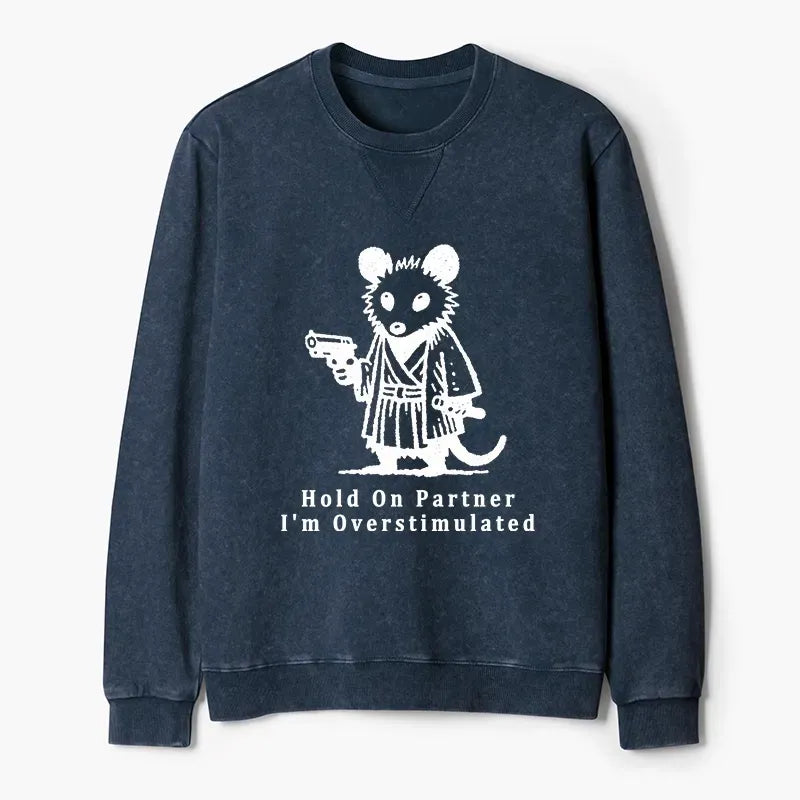 Kyoto-Lion Funny Possum Samurai Washed Terry Sweatshirt