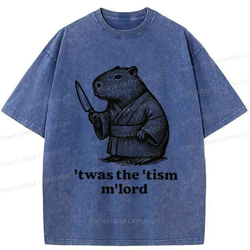 Comfortable Capybara Samurai T-Shirt Gift Idea