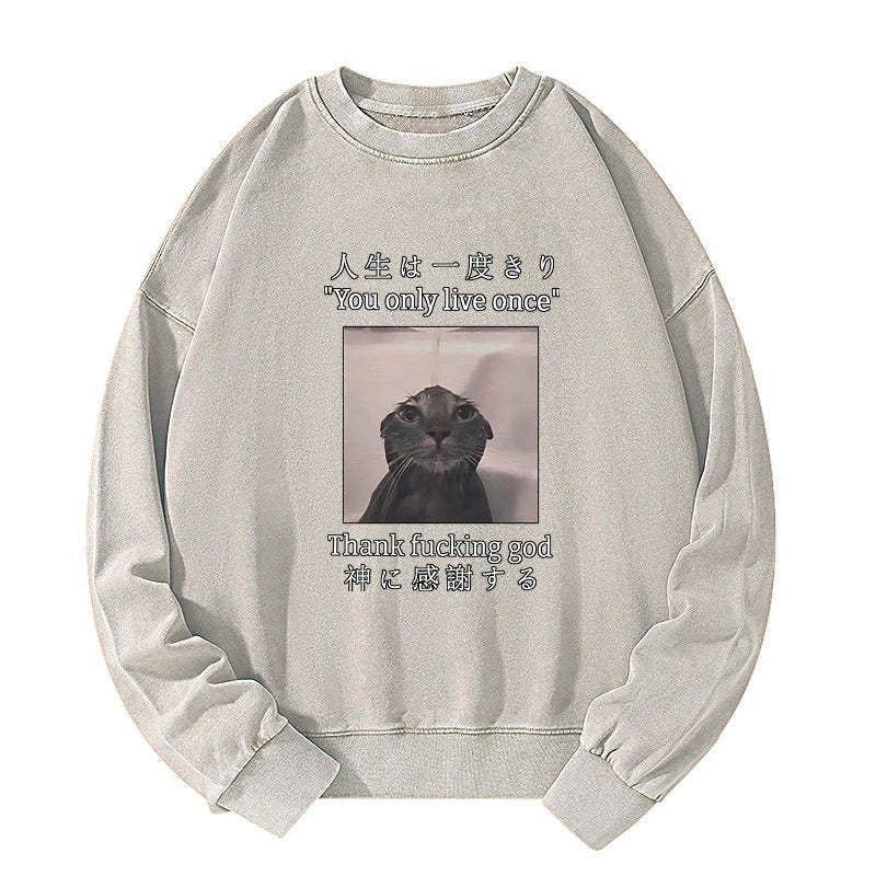 washed cat sweatshirt best seller