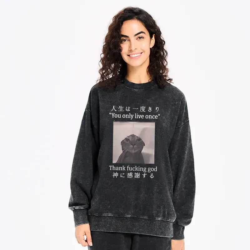 washed cat sweatshirt best seller