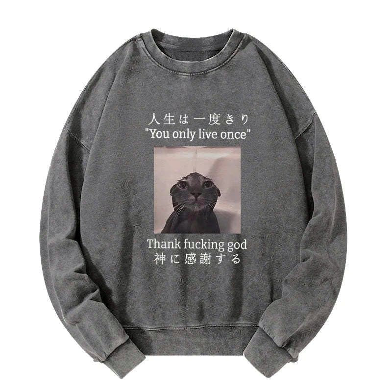 Kyoto-Lion Funny Melancholy Cat Washed Sweatshirt