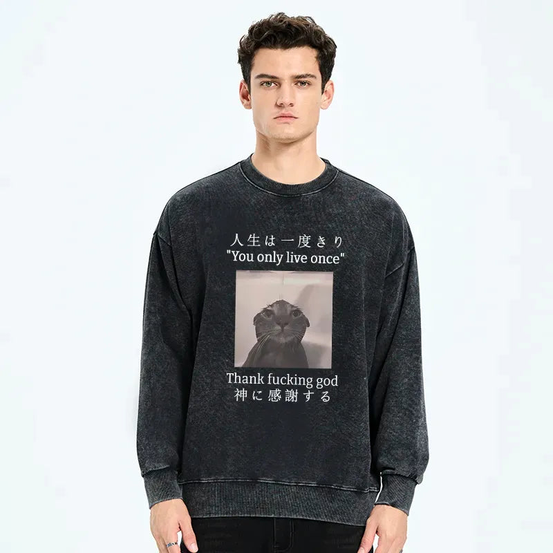 washed cat sweatshirt best seller