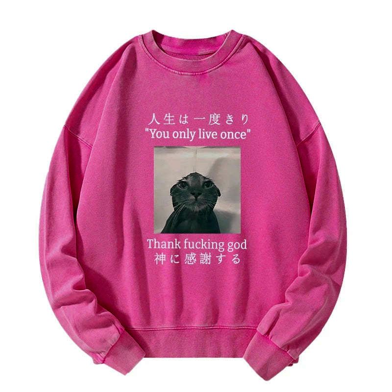 kyoto lion melancholy cat sweatshirt free shipping