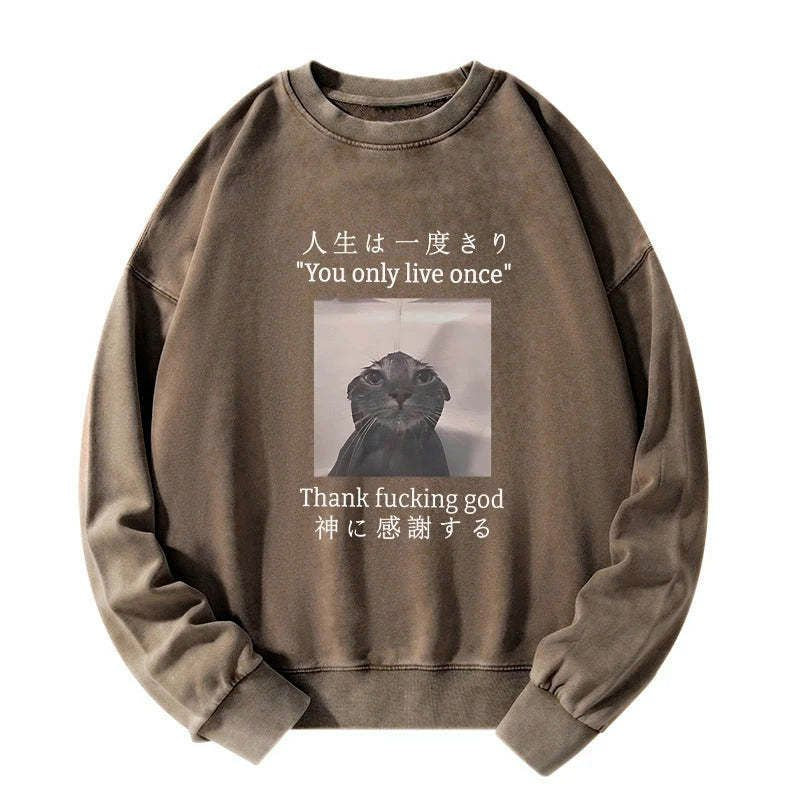 Kyoto-Lion Funny Melancholy Cat Washed Sweatshirt