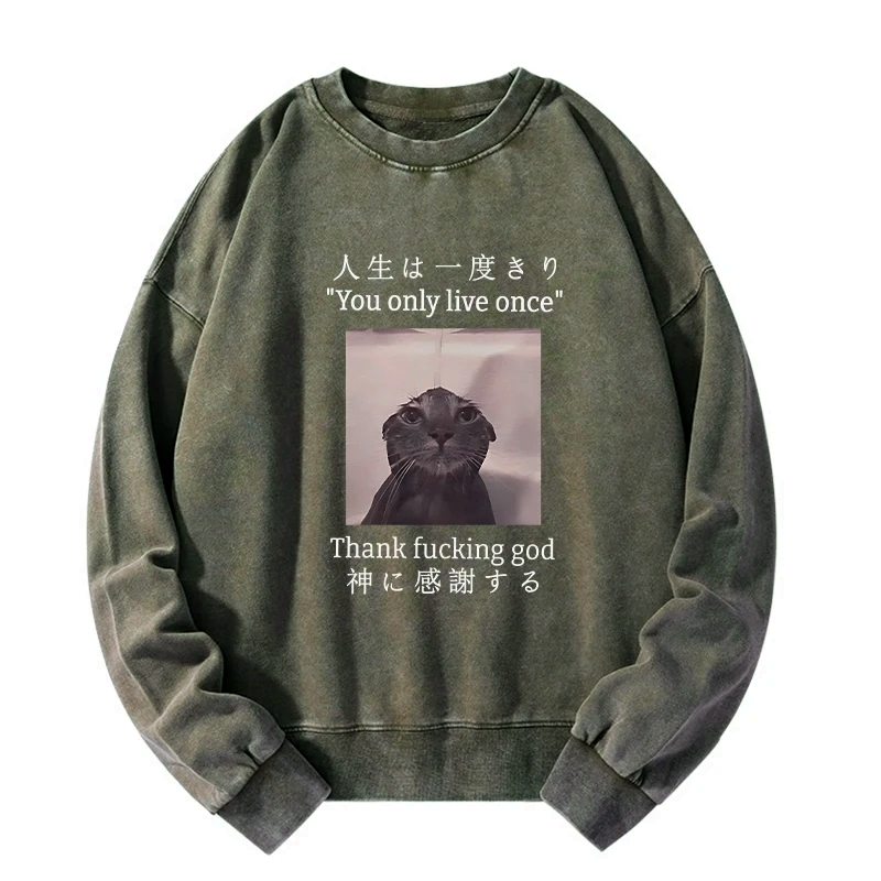 Kyoto-Lion Funny Melancholy Cat Washed Sweatshirt