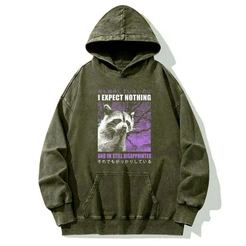 Kyoto-Lion Disappointed Raccoon Japanese Washed Hoodie