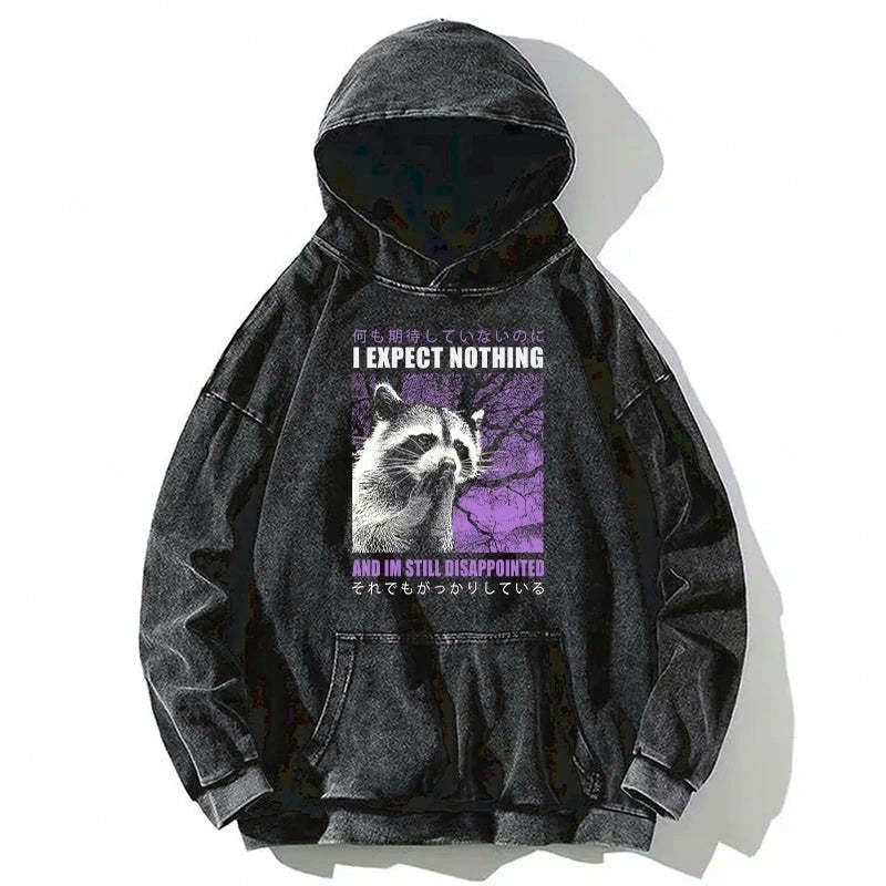 Kyoto-Lion Disappointed Raccoon Japanese Washed Hoodie