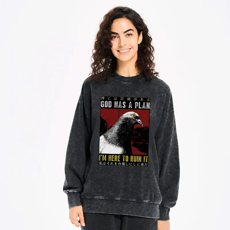 Kyoto-Lion Pigeons That Want To Break The Plan Washed Sweatshirt