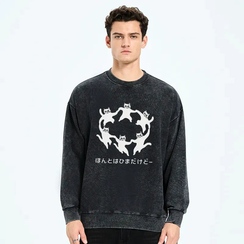 kyoto lion cat sweatshirt on sale