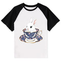 Japanese Cute Rabbit Raglan Tee
