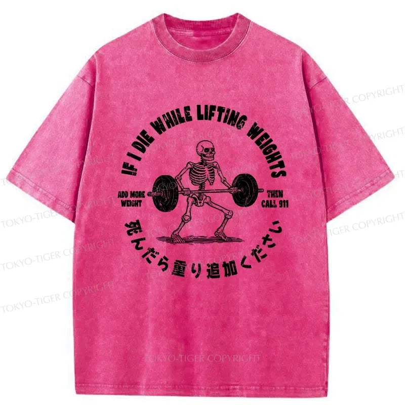 kyoto lion vintage washed t-shirt on sale