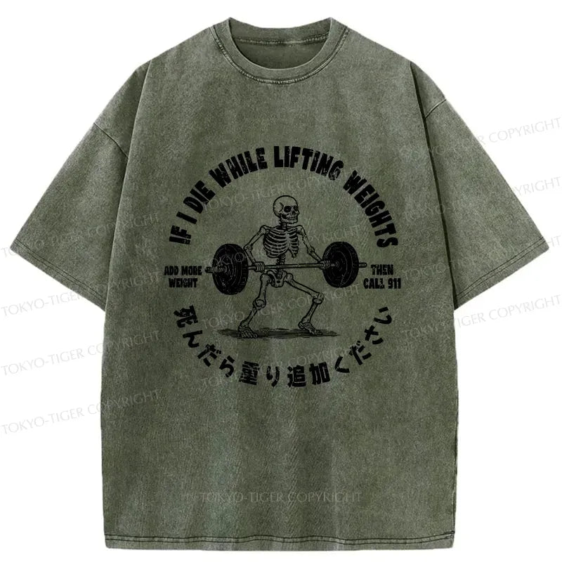 kyoto lion vintage washed t-shirt on sale