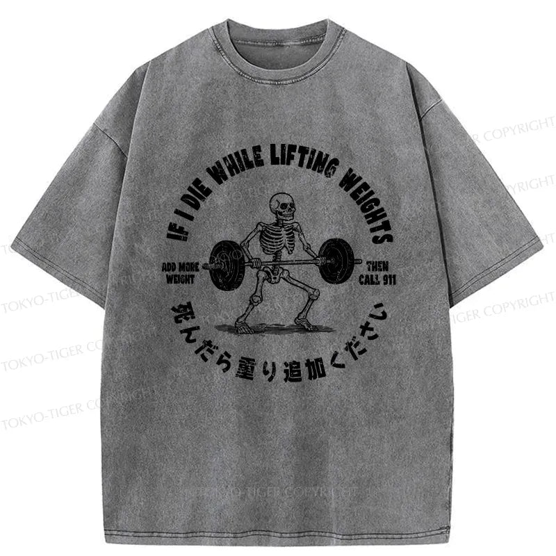 kyoto lion vintage washed t-shirt on sale