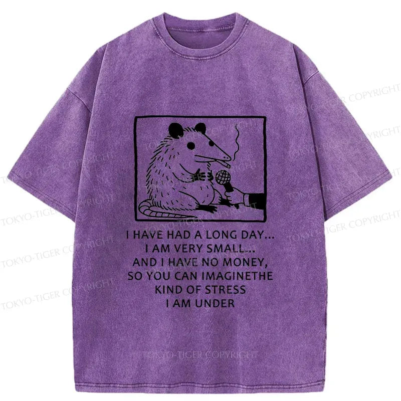 Kyoto-Lion Contemporary Possum Interview Washed T-Shirt