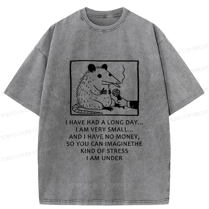 Kyoto-Lion Contemporary Possum Interview Washed T-Shirt