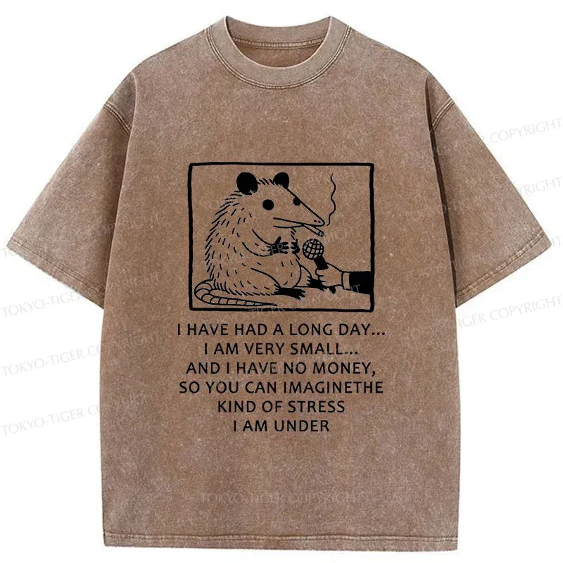 Kyoto-Lion Contemporary Possum Interview Washed T-Shirt