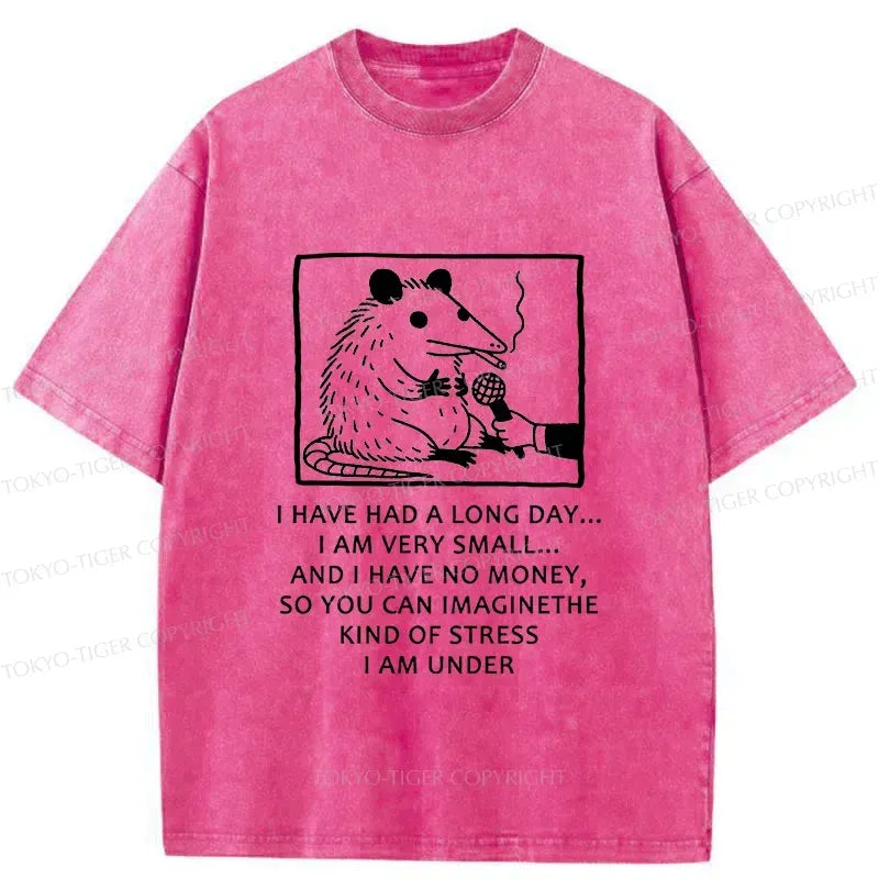 Kyoto-Lion Contemporary Possum Interview Washed T-Shirt