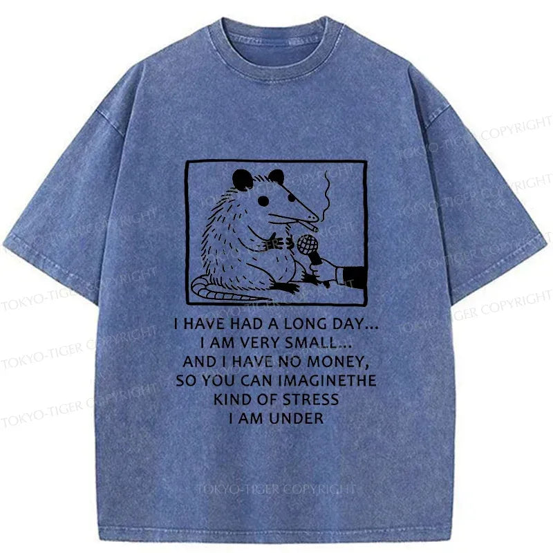 Vintage Kyoto lion unisex cotton t-shirt