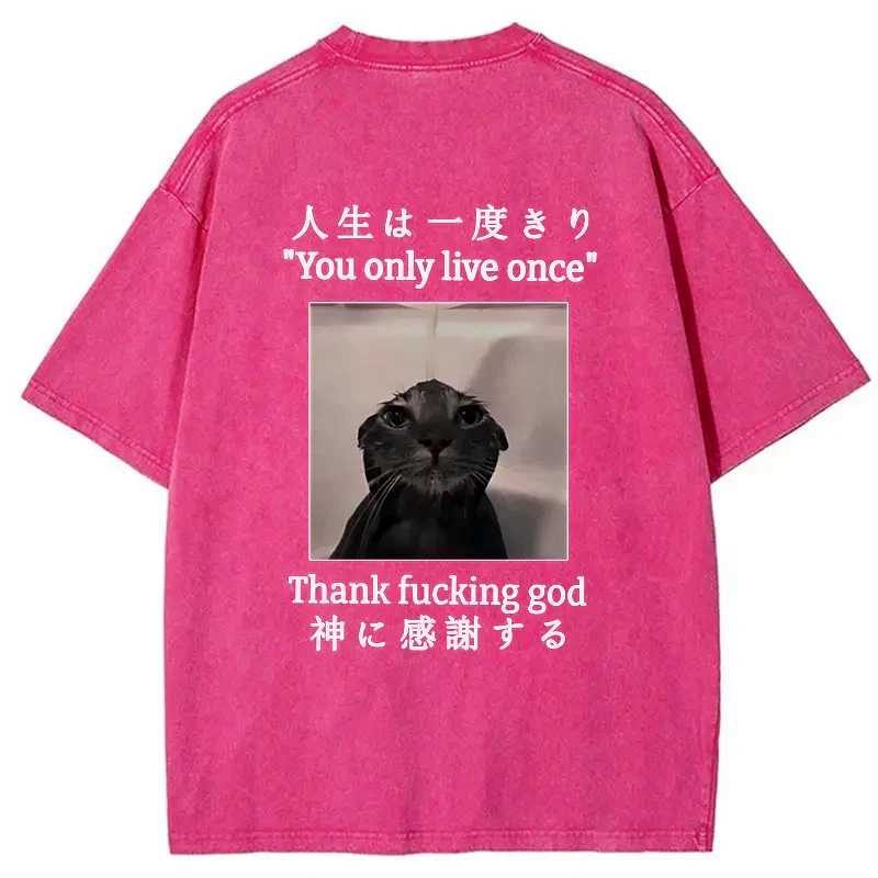 kyoto lion washed t-shirt gift idea