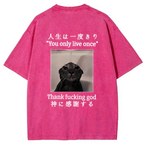 kyoto lion washed t-shirt gift idea