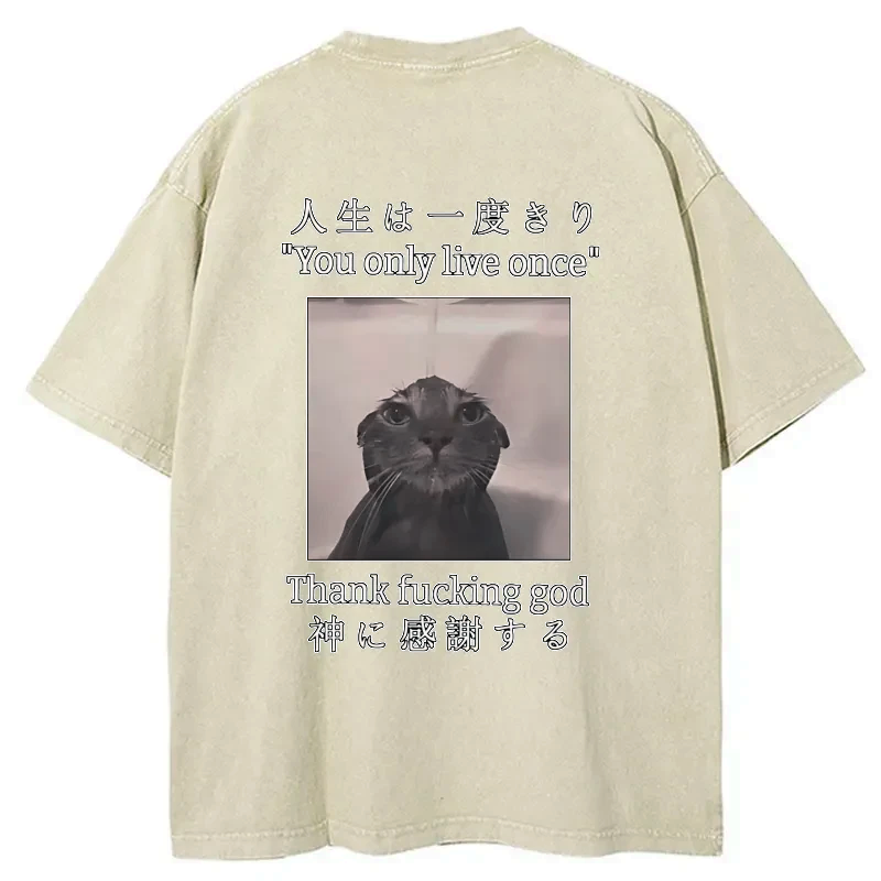 kyoto lion washed t-shirt gift idea